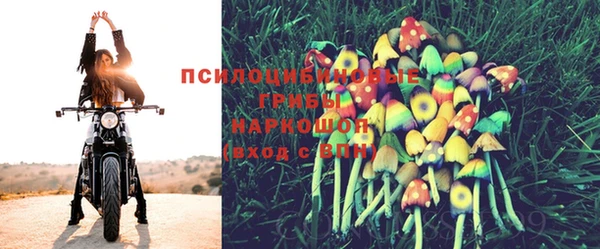 скорость Балахна